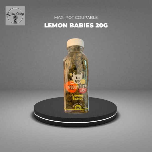 lavapecotiere_cbd_coupable_maxi_lemon_babies_20g