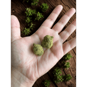 lavapecotiere_cbd_moonrock_1g