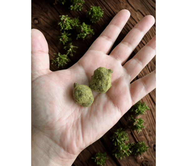 lavapecotiere_cbd_moonrock_1g