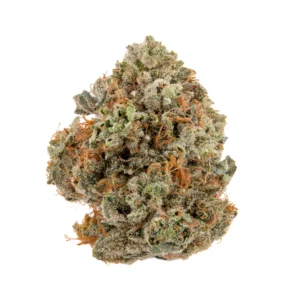 lavapecotiere_cbd_tropical_pop_1g