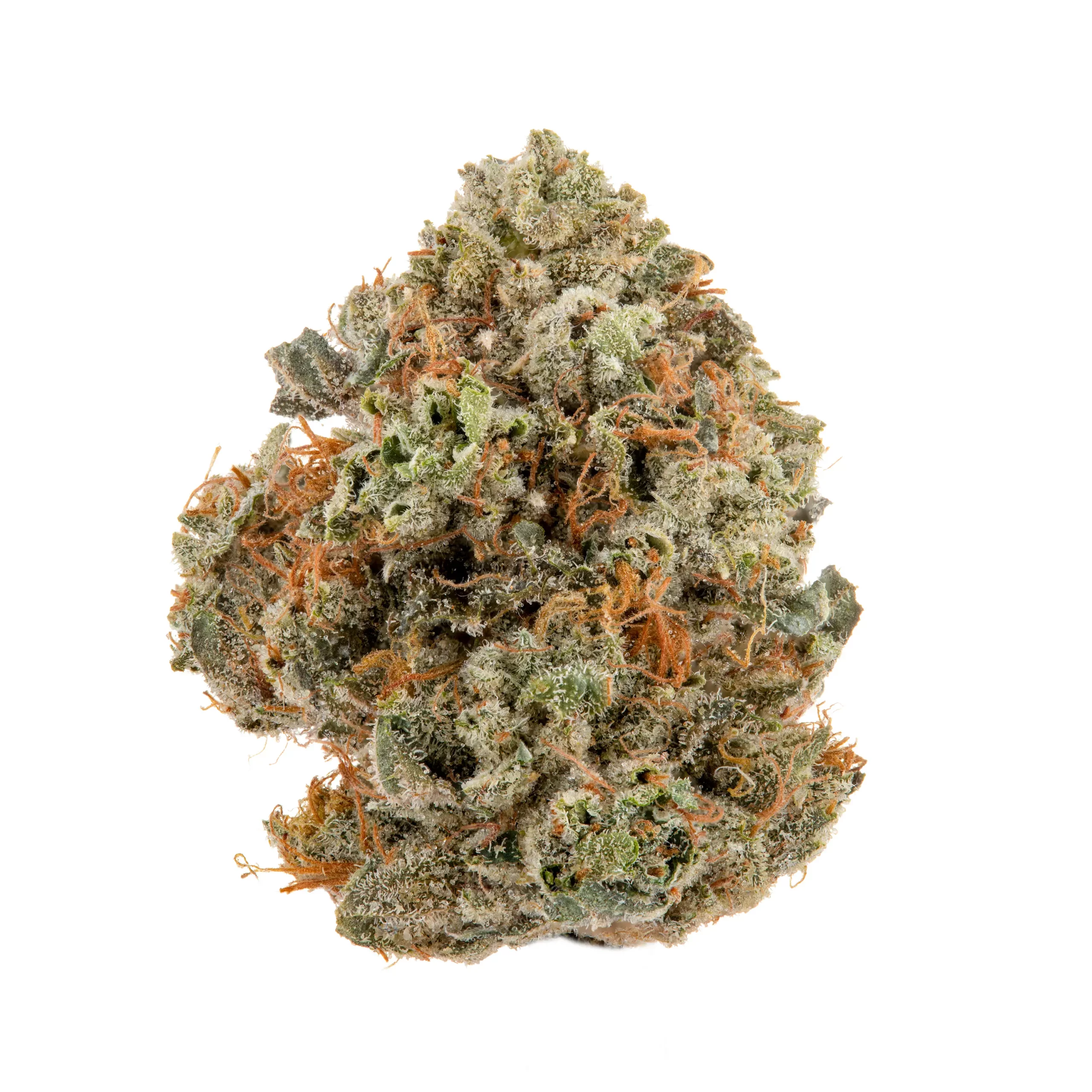 lavapecotiere_cbd_tropical_pop_1g