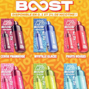 lavapecotiere_puffs_wilo_boost_saveurs